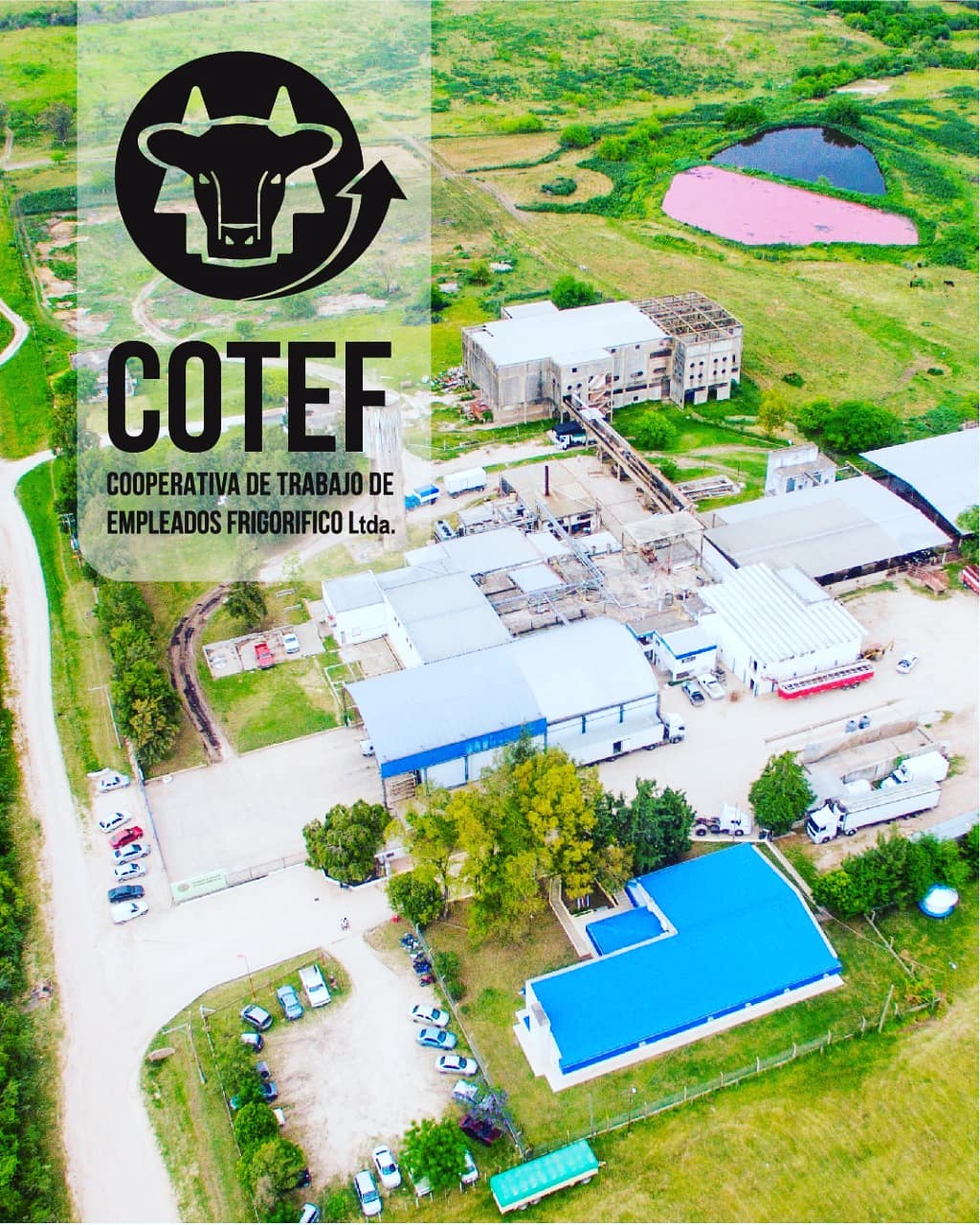 Cooperativa Frigorífica